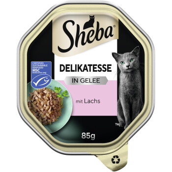 Delikatesse in Gelee Lachs 22x85 g