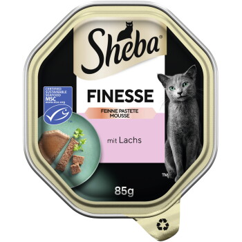 Finesse Feine Pastete Lachs 22x85 g