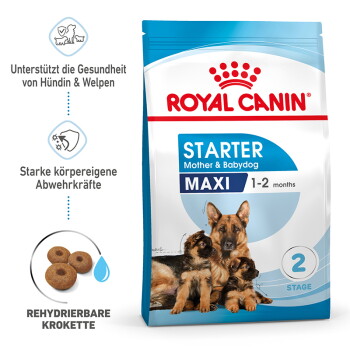 MAXI Starter 15kg